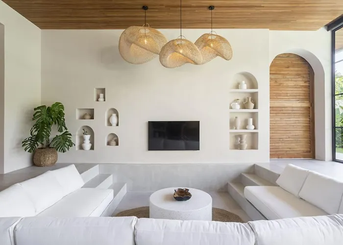 The Dreamland By The Young Villa