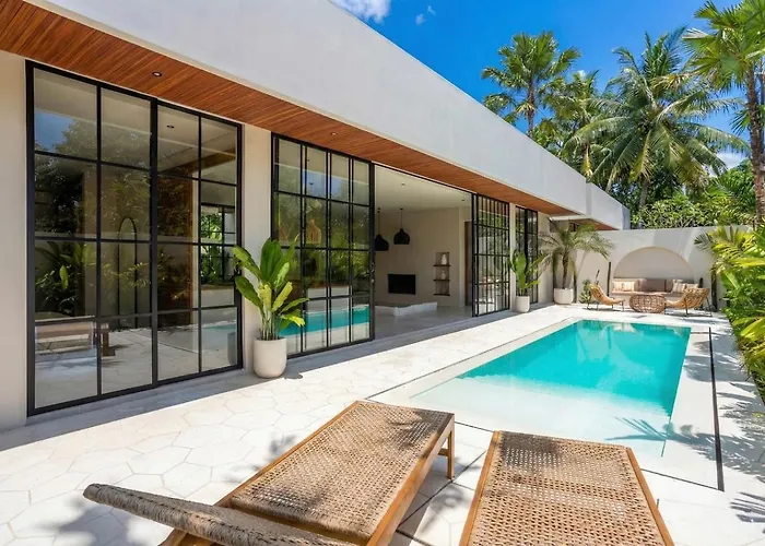 The Dreamland By The Young Villa